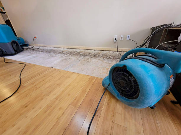 Professional Sewage Cleanup technician working in Santa Paula, CA